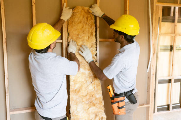 Best Insulation Air Sealing  in Campti, LA